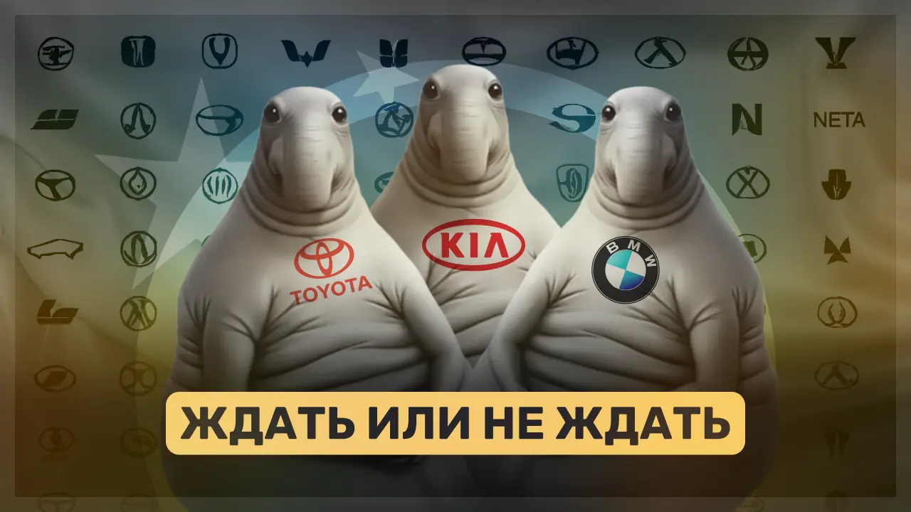 YT Thumbnail 14